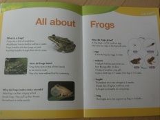 À̹ÌÁö½æ³×ÀÏ 58x58