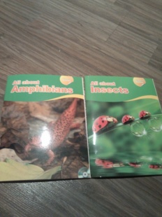 À̹ÌÁö½æ³×ÀÏ 58x58