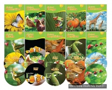 À̹ÌÁö½æ³×ÀÏ 58x58