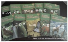 À̹ÌÁö½æ³×ÀÏ 58x58