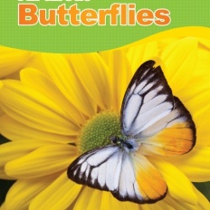 À̹ÌÁö½æ³×ÀÏ 58x58