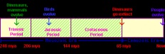 ̹ 58x58