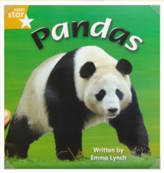 À̹ÌÁö½æ³×ÀÏ 58x58