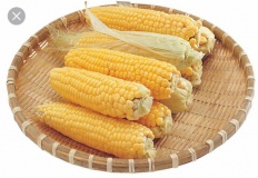 À̹ÌÁö½æ³×ÀÏ 58x58