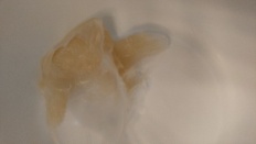 À̹ÌÁö½æ³×ÀÏ 58x58