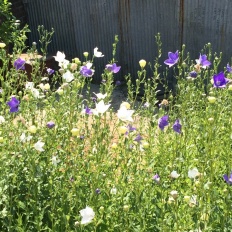 À̹ÌÁö½æ³×ÀÏ 58x58