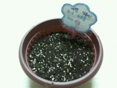 À̹ÌÁö½æ³×ÀÏ 58x58