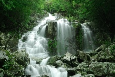 À̹ÌÁö½æ³×ÀÏ 58x58