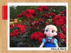 À̹ÌÁö½æ³×ÀÏ 58x58