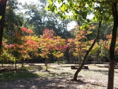 À̹ÌÁö½æ³×ÀÏ 58x58