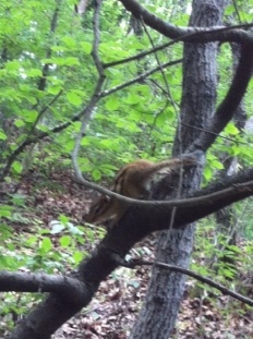 À̹ÌÁö½æ³×ÀÏ 58x58