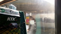 À̹ÌÁö½æ³×ÀÏ 58x58