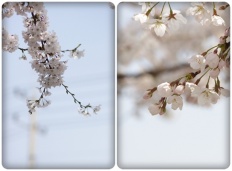 À̹ÌÁö½æ³×ÀÏ 58x58