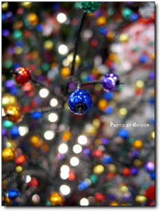 À̹ÌÁö½æ³×ÀÏ 58x58