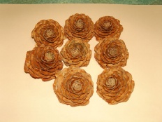 À̹ÌÁö½æ³×ÀÏ 58x58