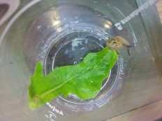 À̹ÌÁö½æ³×ÀÏ 58x58