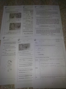 À̹ÌÁö½æ³×ÀÏ 58x58