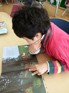 À̹ÌÁö½æ³×ÀÏ 58x58