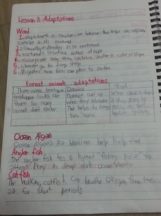 À̹ÌÁö½æ³×ÀÏ 58x58