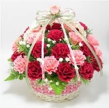 À̹ÌÁö½æ³×ÀÏ 58x58