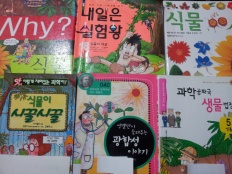 À̹ÌÁö½æ³×ÀÏ 58x58