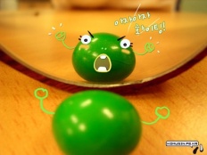 À̹ÌÁö½æ³×ÀÏ 58x58