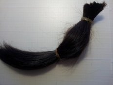 À̹ÌÁö½æ³×ÀÏ 58x58