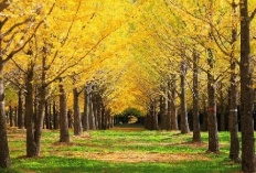 À̹ÌÁö½æ³×ÀÏ 58x58