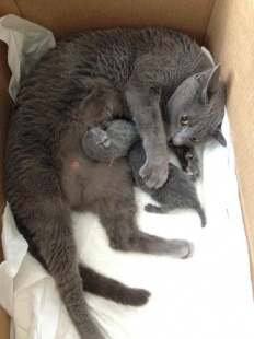 À̹ÌÁö½æ³×ÀÏ 58x58