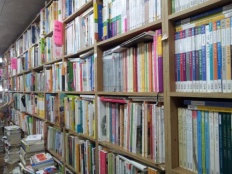 À̹ÌÁö½æ³×ÀÏ 58x58