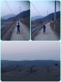 À̹ÌÁö½æ³×ÀÏ 58x58