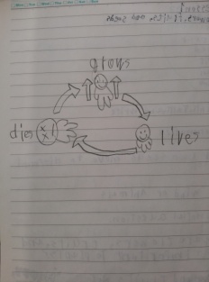 À̹ÌÁö½æ³×ÀÏ 58x58