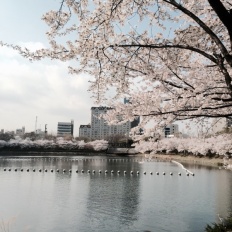 À̹ÌÁö½æ³×ÀÏ 58x58