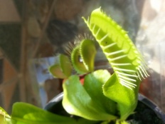 À̹ÌÁö½æ³×ÀÏ 58x58