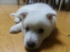 À̹ÌÁö½æ³×ÀÏ 58x58