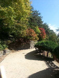 À̹ÌÁö½æ³×ÀÏ 58x58