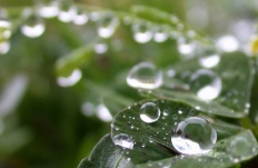 À̹ÌÁö½æ³×ÀÏ 58x58