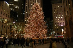 À̹ÌÁö½æ³×ÀÏ 58x58