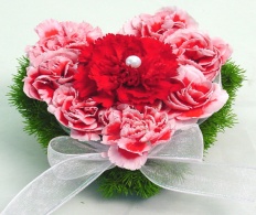 À̹ÌÁö½æ³×ÀÏ 58x58