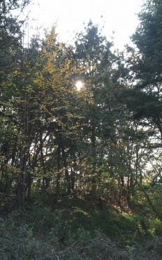 À̹ÌÁö½æ³×ÀÏ 58x58