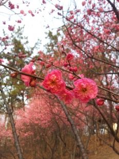 À̹ÌÁö½æ³×ÀÏ 58x58