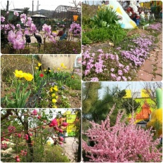 À̹ÌÁö½æ³×ÀÏ 58x58