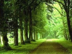 À̹ÌÁö½æ³×ÀÏ 58x58