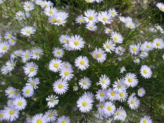 À̹ÌÁö½æ³×ÀÏ 58x58