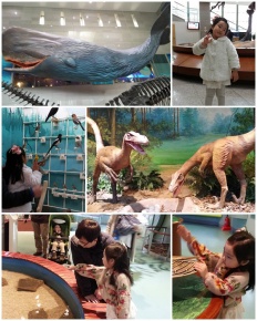 À̹ÌÁö½æ³×ÀÏ 58x58