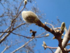 À̹ÌÁö½æ³×ÀÏ 58x58