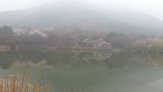 À̹ÌÁö½æ³×ÀÏ 58x58