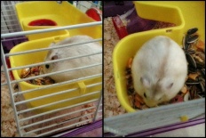 À̹ÌÁö½æ³×ÀÏ 58x58