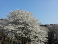 À̹ÌÁö½æ³×ÀÏ 58x58