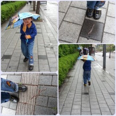 À̹ÌÁö½æ³×ÀÏ 58x58